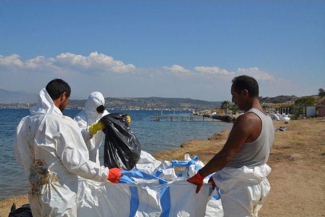 Foça’da Deniz Temizliği Devam Ediyor