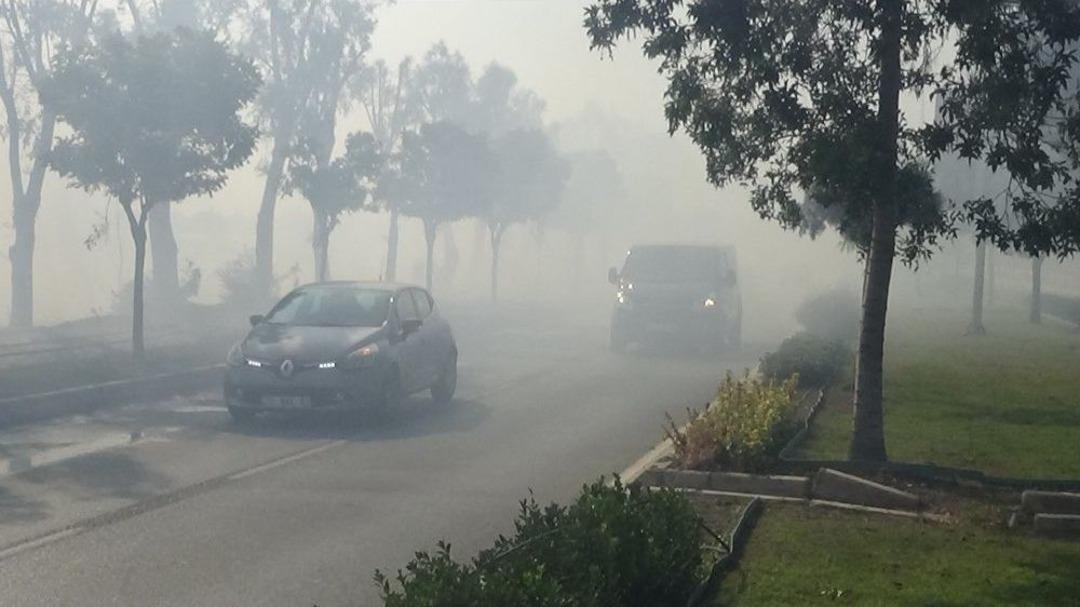 İzmir&rsquo;de Ot Yangını Paniğe Sebep Oldu
