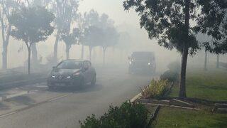 İzmir’de Ot Yangını Paniğe Sebep Oldu