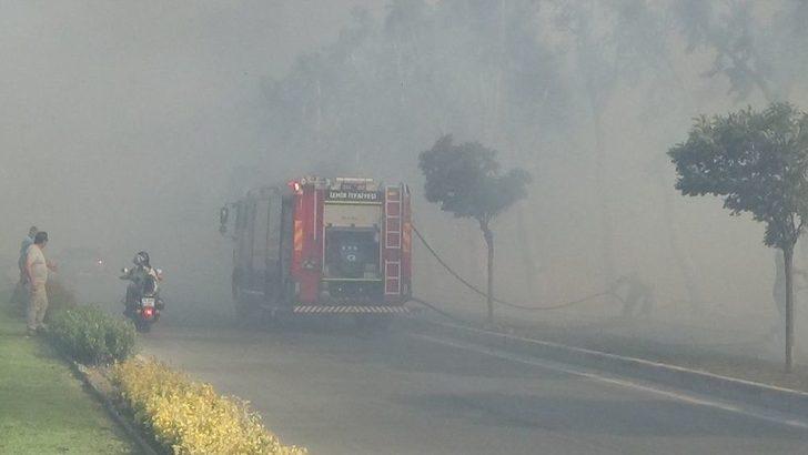 İzmir’de Ot Yangını Paniğe Sebep Oldu G1