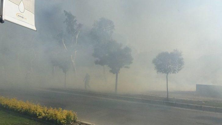 İzmir’de Ot Yangını Paniğe Sebep Oldu G2