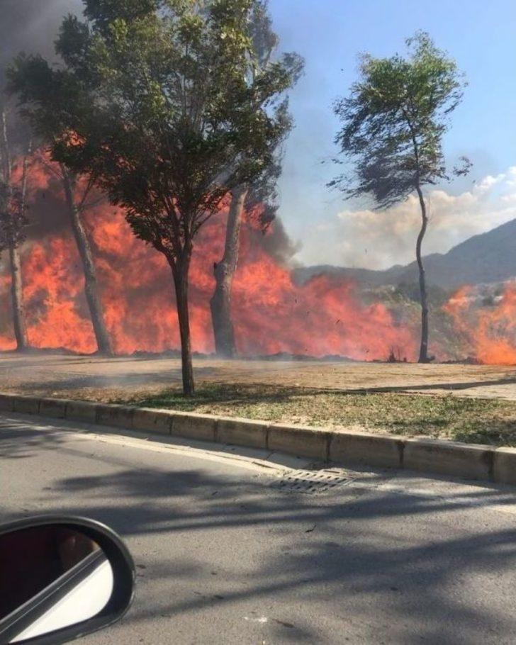 İzmir’de Ot Yangını Paniğe Sebep Oldu G4