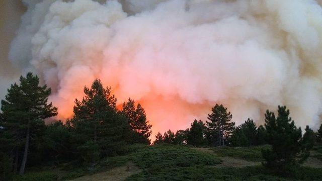 Kastamonu’da Ormanlık Alanda Çıkan Yangın Devam Ediyor