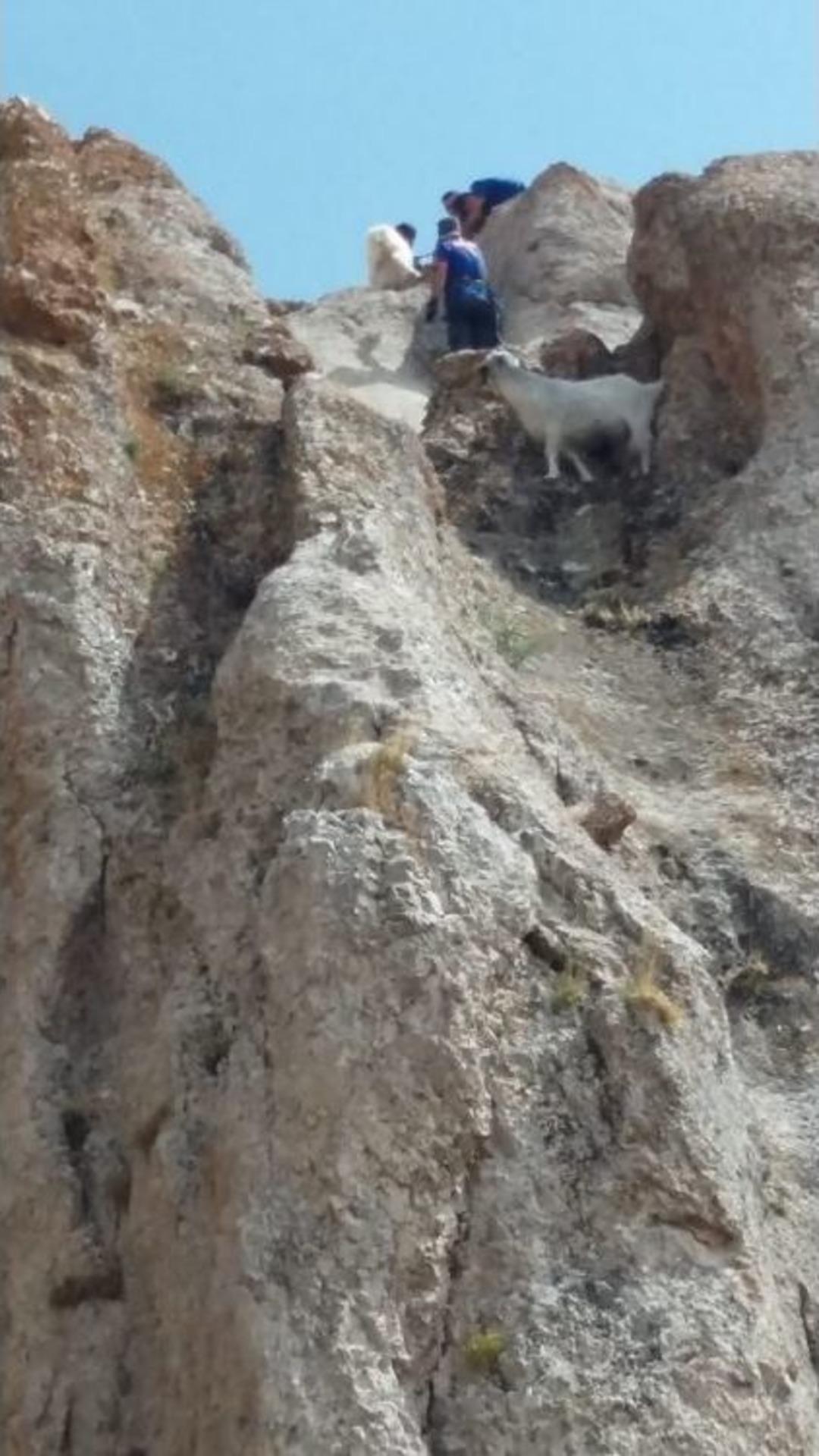 Ağrı Afad&rsquo;tan Filmleri Aratmayan Ke&ccedil;i Kurtarma Operasyonu