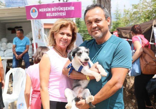 Büyükşehir, Şaymana Fest’te Kedi Ve Köpekler İçin Stant Açtı