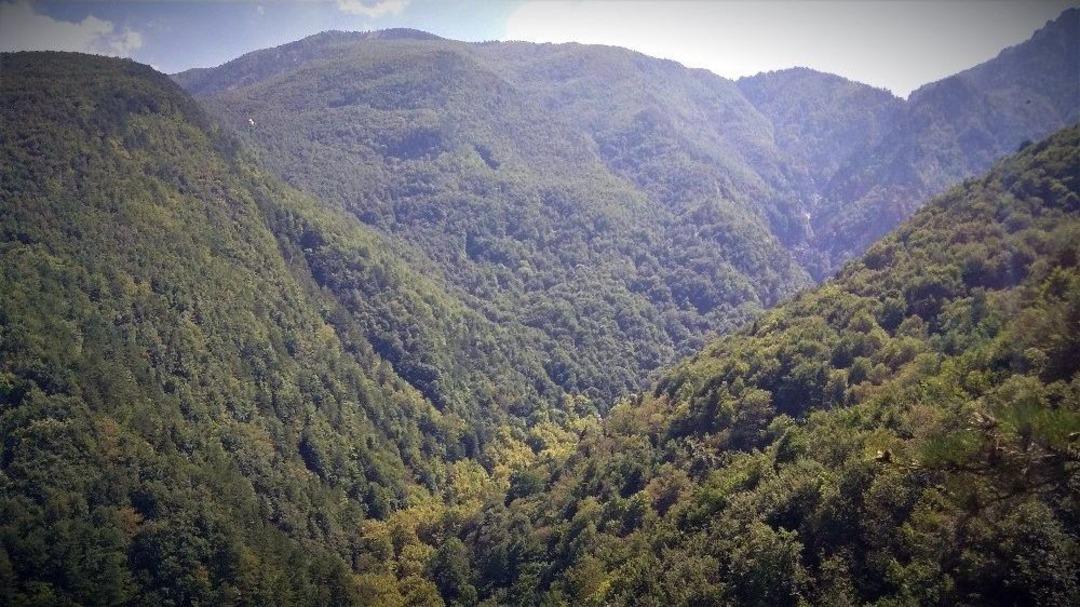 (&ouml;zel Haber) Tarihi Manastırları Arkeologlar Yerine Defineciler Kazıyor