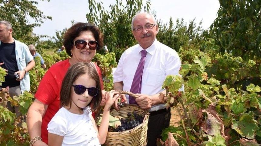 Şarköy Bağbozumu Ve Üzüm Festivali Düzenlendi