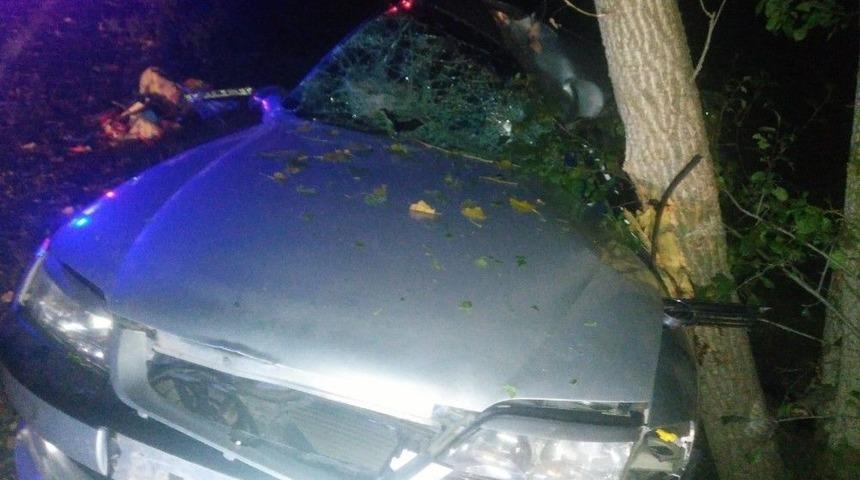 Hayvana &Ccedil;arpmamak İ&ccedil;in Kaza Yaptılar: 1&rsquo;i Ağır 4 Yaralı