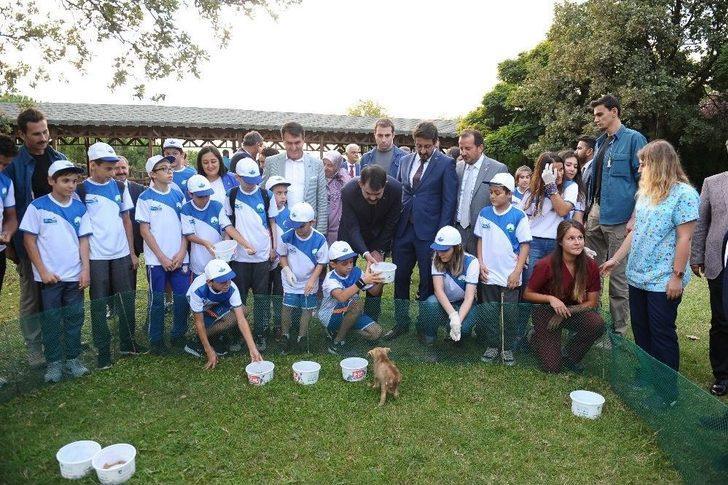 Bakan Kurum: “şehrin Siluetine Zarar Veren Projelere Gereken Yapılacak” G3