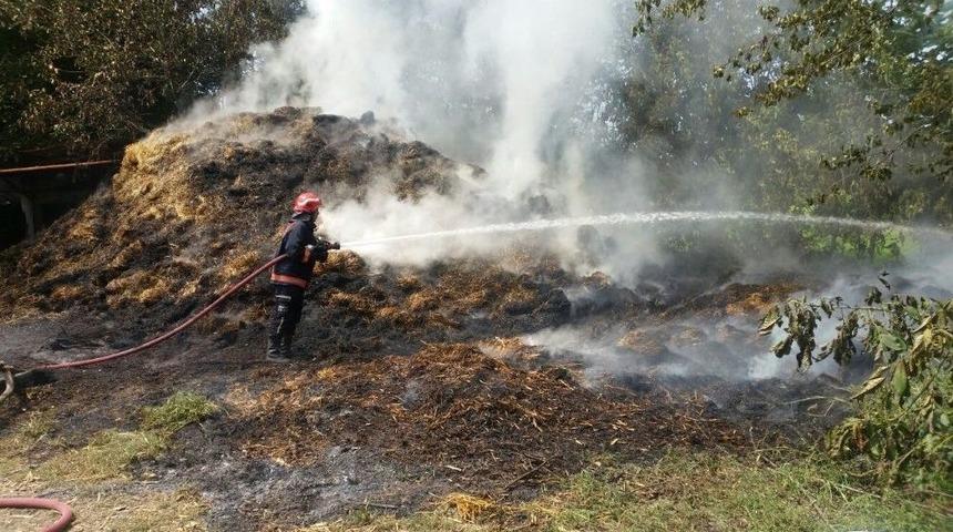 Samanlıkta &Ccedil;ıkan Yangın Ahıra Sı&ccedil;ramadan S&ouml;nd&uuml;r&uuml;ld&uuml;