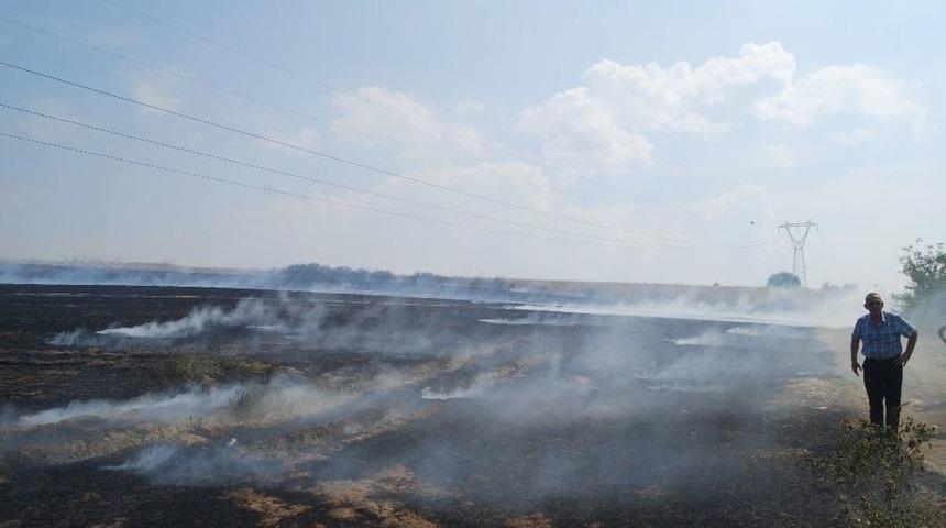 Tekirdağ’da 500 Dönüm Anız Kül Oldu