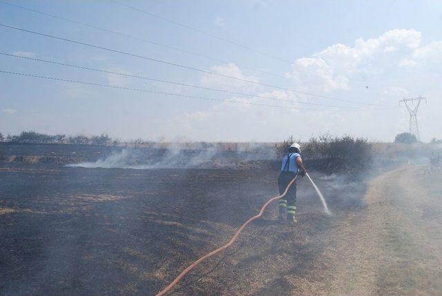 Tekirdağ’da 500 Dönüm Anız Kül Oldu