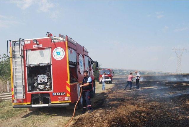 Tekirdağ’da 500 Dönüm Anız Kül Oldu