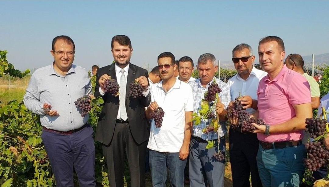 Hassa 2. &Uuml;z&uuml;m Festivali