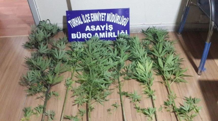 Tokat&rsquo;ta Uyuşturucu Operasyonu; 3 Kişi Tutuklandı