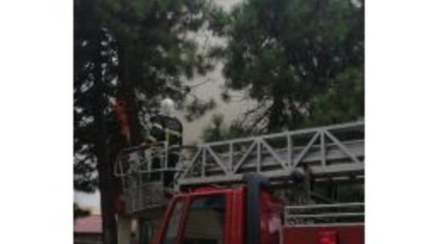 Ayağına İp Dolanan Kuşu İtfaiye Kurtardı