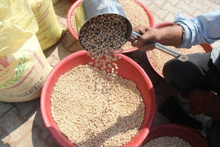 Ağın Leblebisine Talep Çoğaldı, Üretim Yüzde 300 Arttı G5