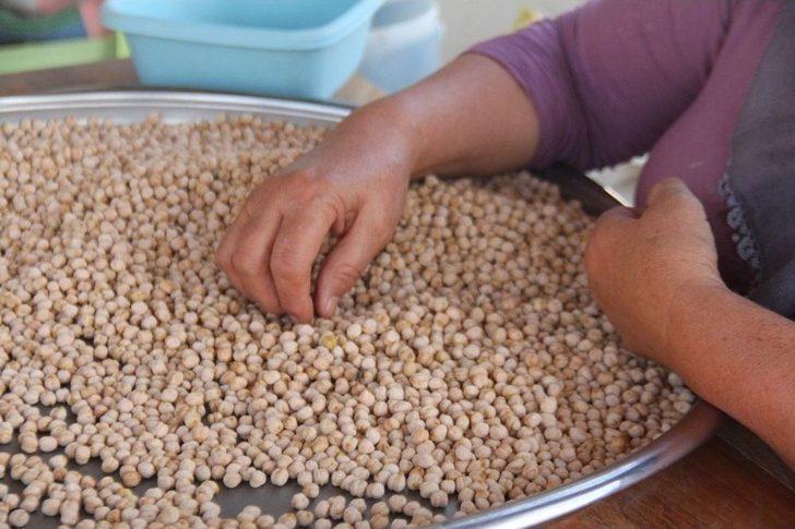 Ağın Leblebisine Talep Çoğaldı, Üretim Yüzde 300 Arttı G2