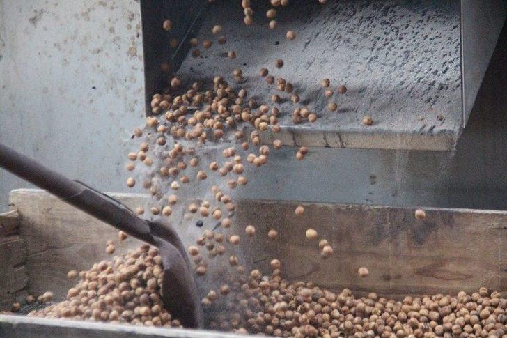 Ağın Leblebisine Talep Çoğaldı, Üretim Yüzde 300 Arttı G3