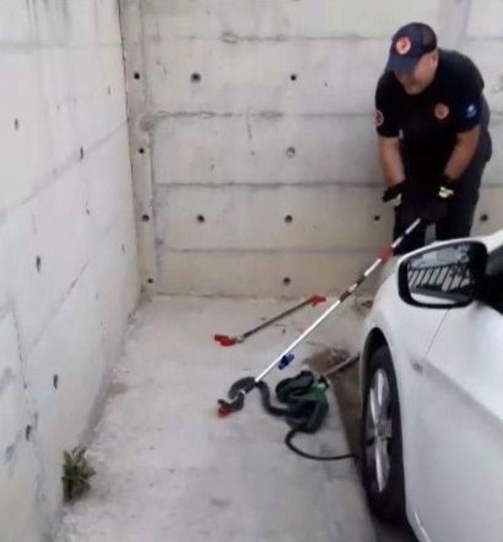 Hastane Bahçesinde Kara Yılan Yakalandı G2