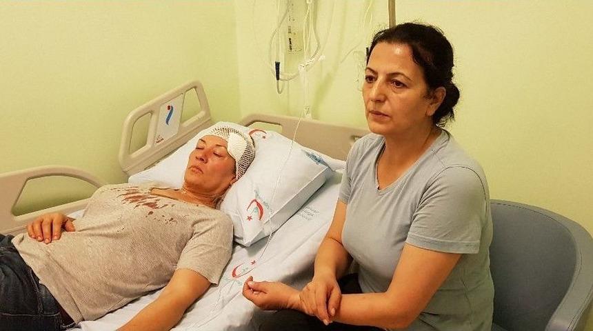 K&ouml;peklerini Gezdirirken Taşlı Saldırıya Uğradı