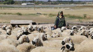 Genç Çiftçi Projeleri Tarıma Işık Tutuyor