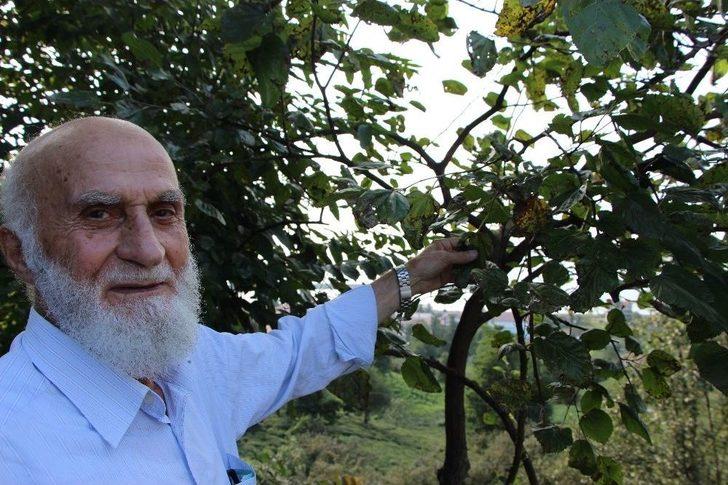 ‘vampir’ Kelebeğinin Biyolojik Silah Olabileceği İddiası G5