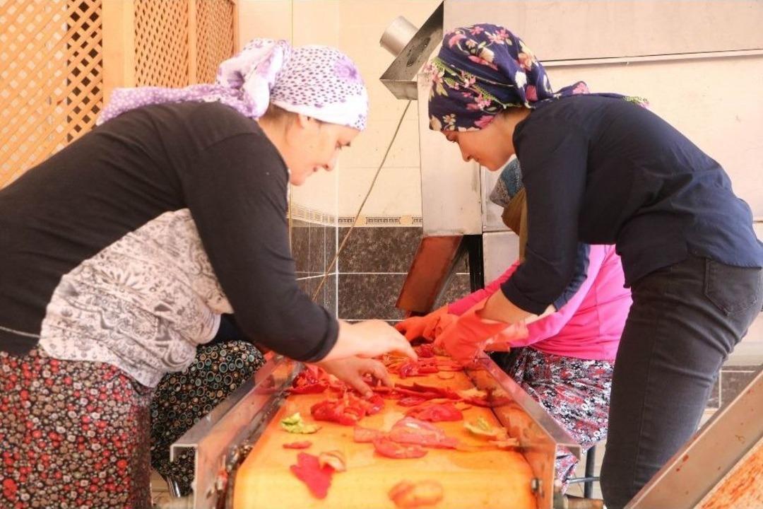 En &rsquo;acı&rsquo; Yolculuk