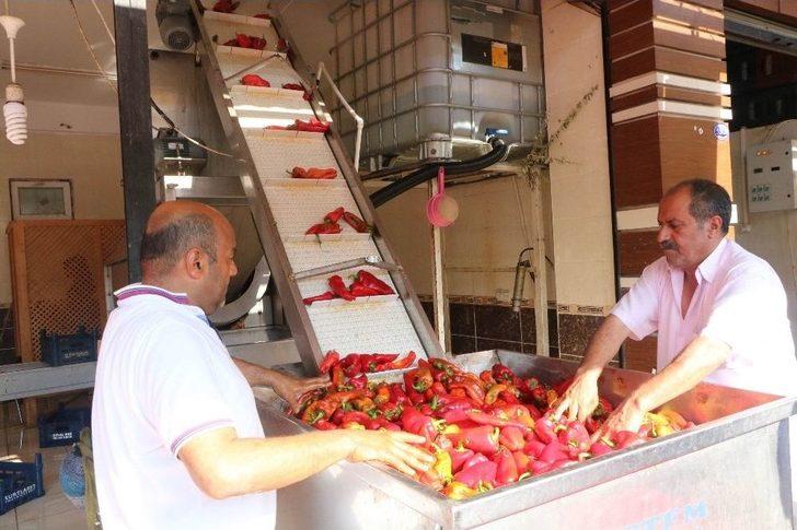 En ’acı’ Yolculuk G4