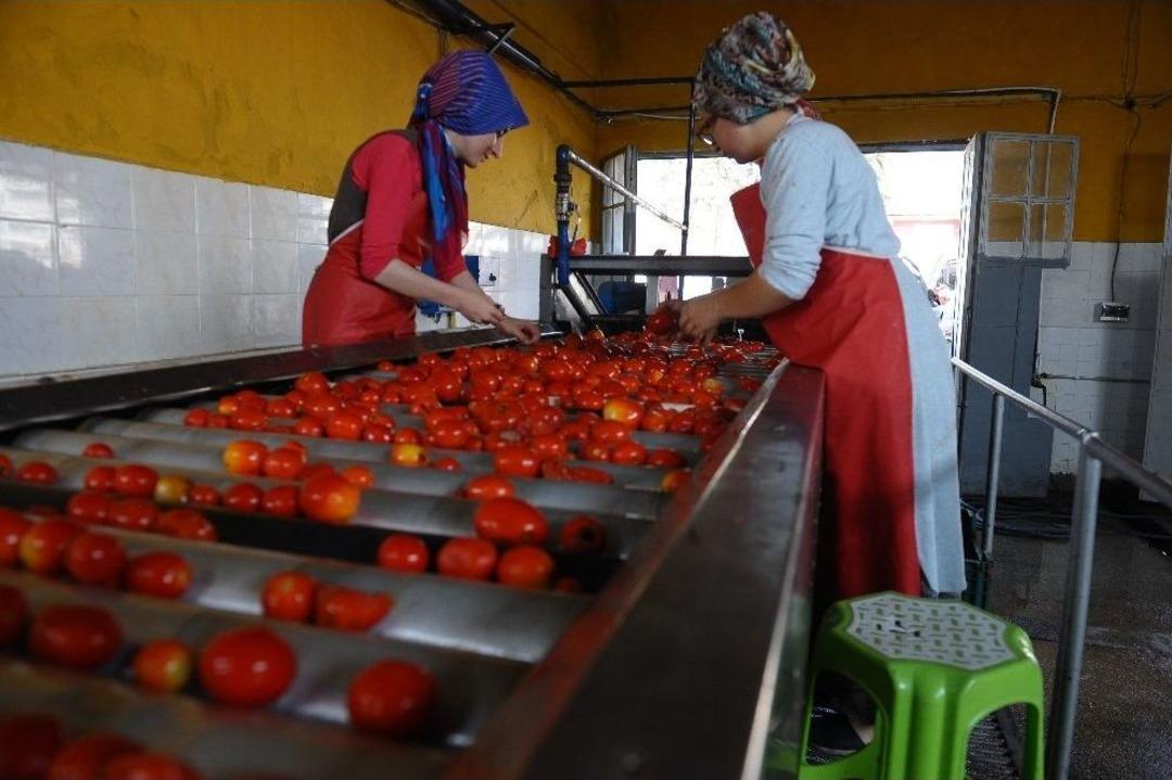 Sal&ccedil;aya Kadın Eli Değdi