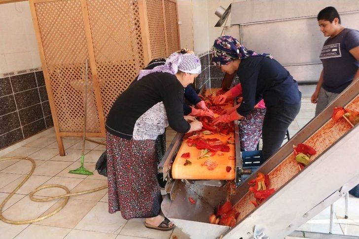 En ’acı’ Yolculuk G1