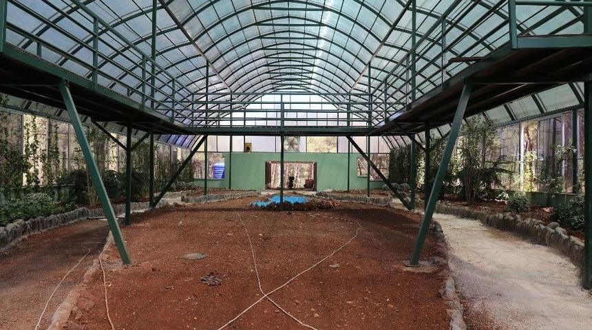 Nesli T&uuml;keten Kelebekler İ&ccedil;in Gaziantep&rsquo;te Tropik Merkez Yapılıyor