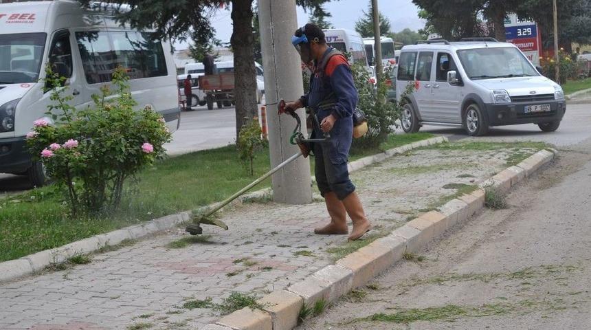 Şuhut&rsquo;ta &Ccedil;im Bi&ccedil;me &Ccedil;alışmaları Tam Gaz Devam Ediyor