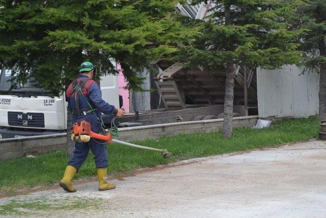 Şuhut’ta Çim Biçme Çalışmaları Tam Gaz Devam Ediyor