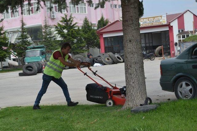 Şuhut’ta Çim Biçme Çalışmaları Tam Gaz Devam Ediyor