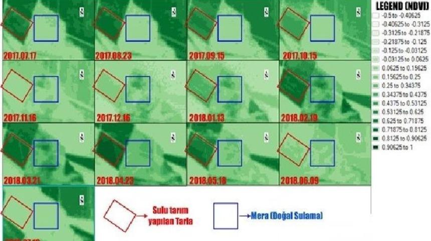 Kaçak Elektrik İle Sulanan Alanlar Rengini Böyle Belli Ediyor
