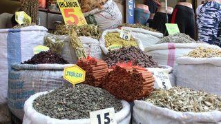 Şifalı Bitkiler Tehlike Arz Edebiliyor