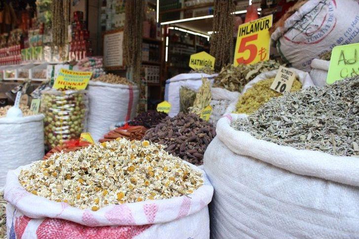 Şifalı Bitkiler Tehlike Arz Edebiliyor G5