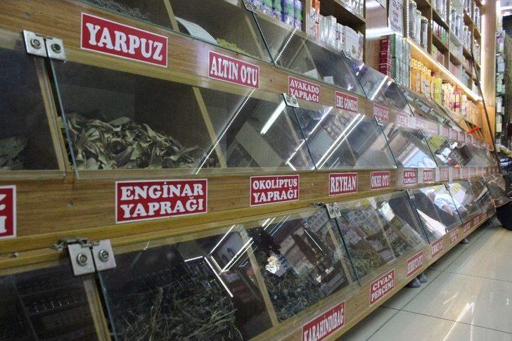 Şifalı Bitkiler Tehlike Arz Edebiliyor G4