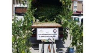 Polisten Uyuşturucu Operasyonu