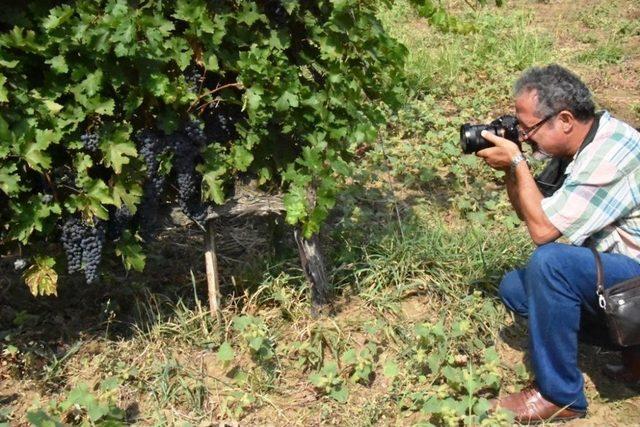 Tekirdağ’ın Dört Bir Yanını Fotoğrafladılar