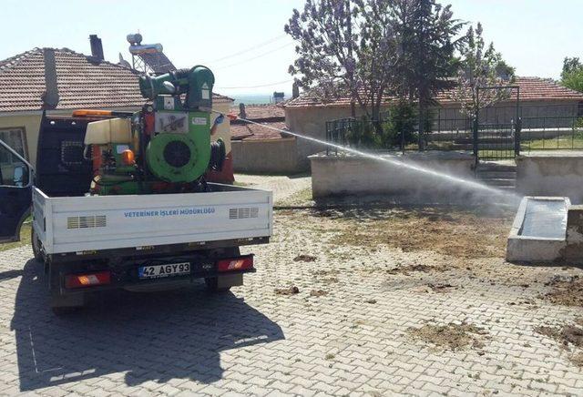 Tepebaşı’nda Haşere İle Mücadele Devam Ediyor