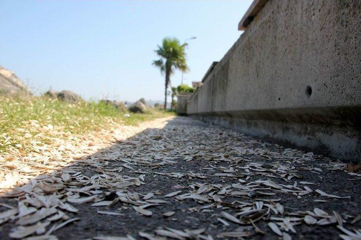 Şehir Magandaları Boş Durmuyor G1