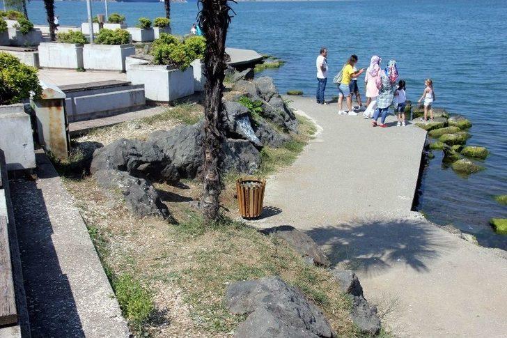 Şehir Magandaları Boş Durmuyor G2