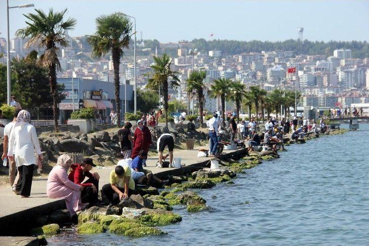 Şehir Magandaları Boş Durmuyor G3