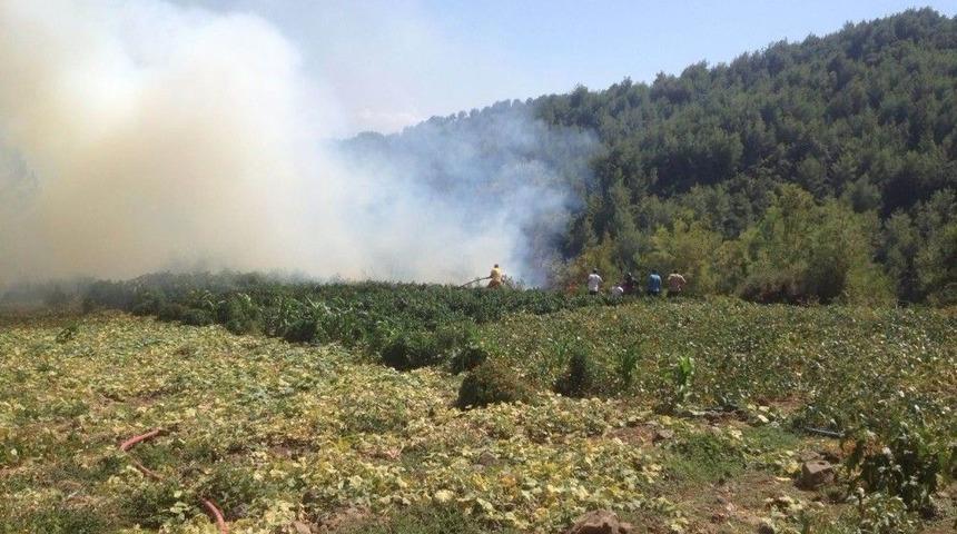 Hatay&rsquo;da Orman Yangını