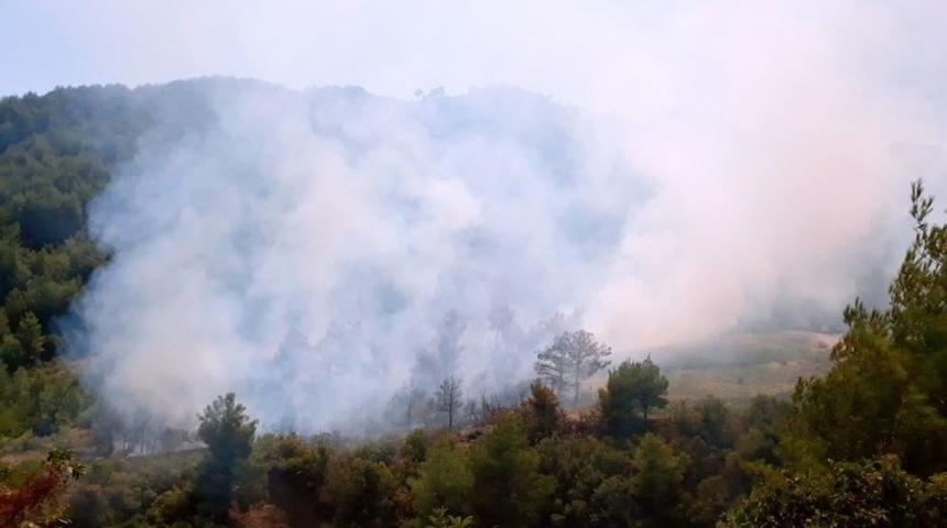 Hatay&rsquo;da Orman Yangını