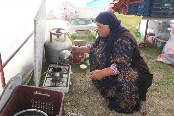 Çoluk Çocuk Tarlalarda Çalışıp, Çadırlarda Yaşıyorlar G1