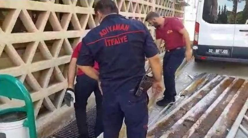 Mahsur Kalan Kediyi İtfaiye Ekipleri Kurtardı