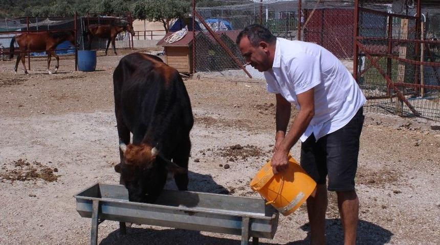 Haluk Levent Dana Ferdinand&rsquo;ı Ziyaret Etti